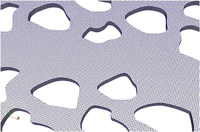 Computational Microfluidics for Geosciences